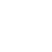 40% omzetgroei